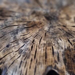 woodcrafts.com.pl na Instagramie