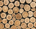 Rodzaje drewna woodcrafts.com.pl